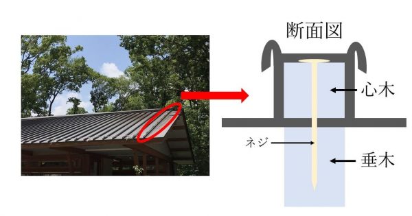 瓦棒屋根の断面図