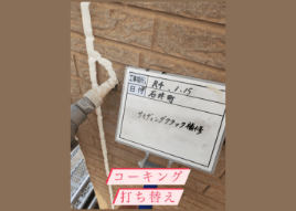 写真紹介
