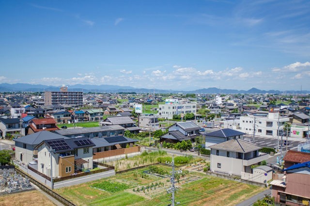 写真紹介