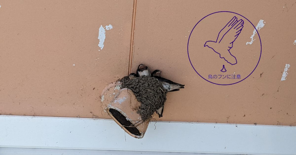 外壁についた鳥のフン